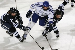 开云-赛前速览：亚洲杯常规赛洛杉矶湖人对阵巴塞罗那，三大看点值得期待